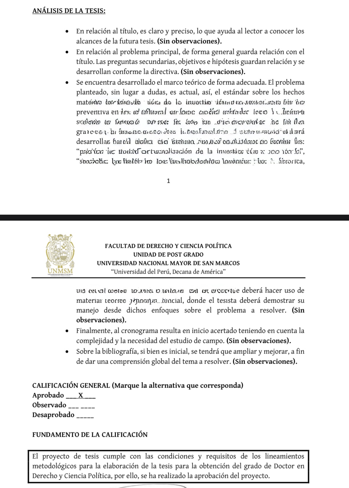 Informe académico de la UNMSM con calificación aprobatoria para un proyecto de tesis